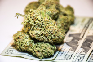 Marijuana on dollar bills