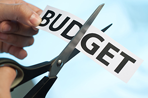 IRS Budget Cuts