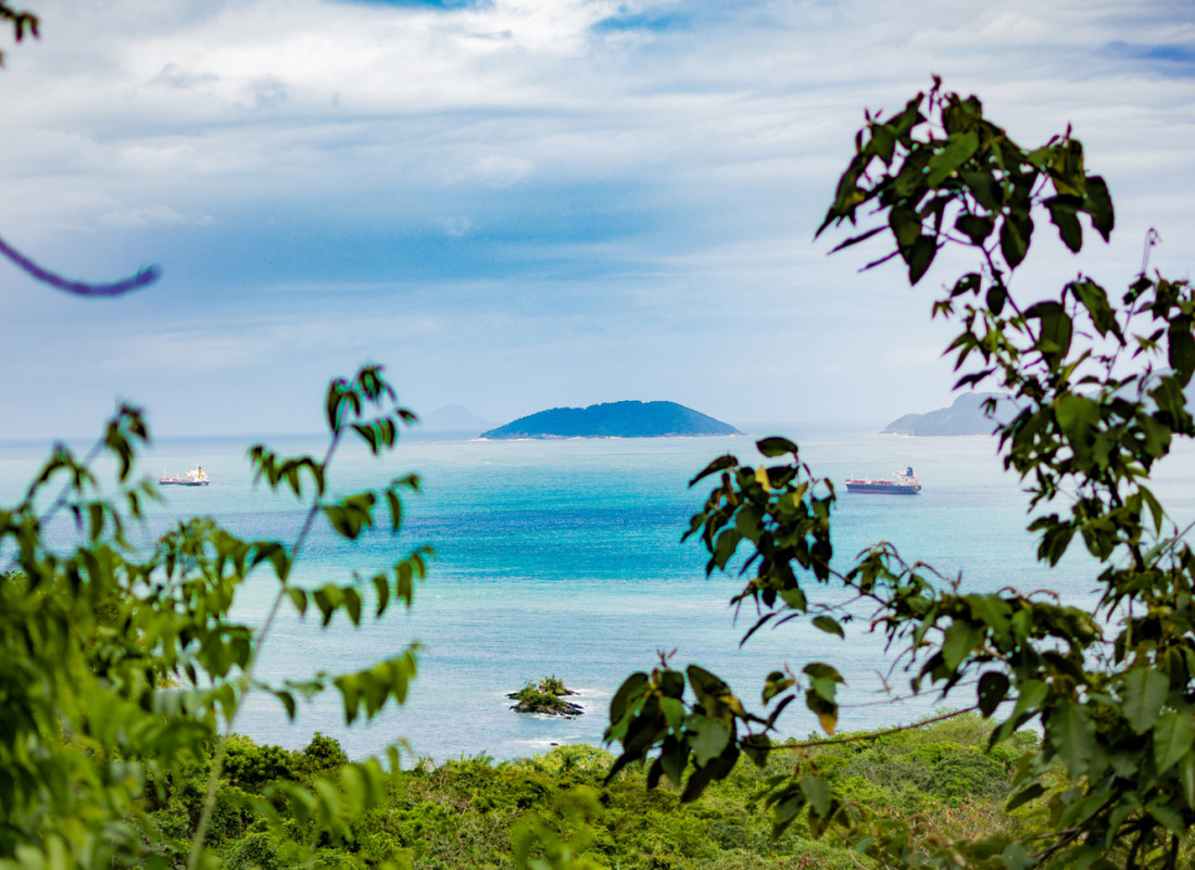 View of ocean and greenery