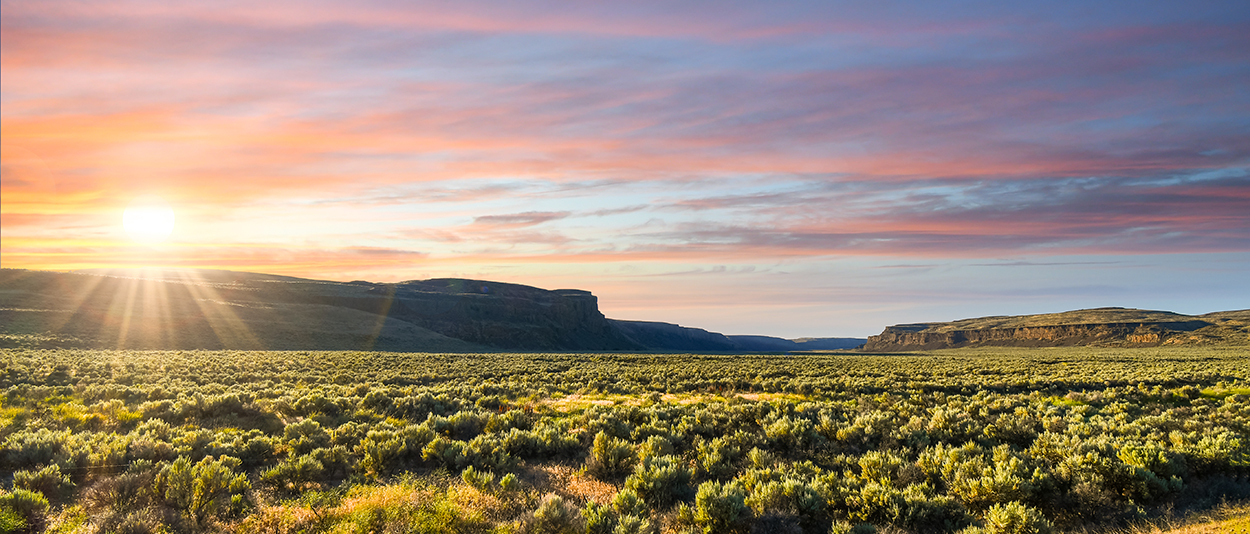 Photo of Native American Law