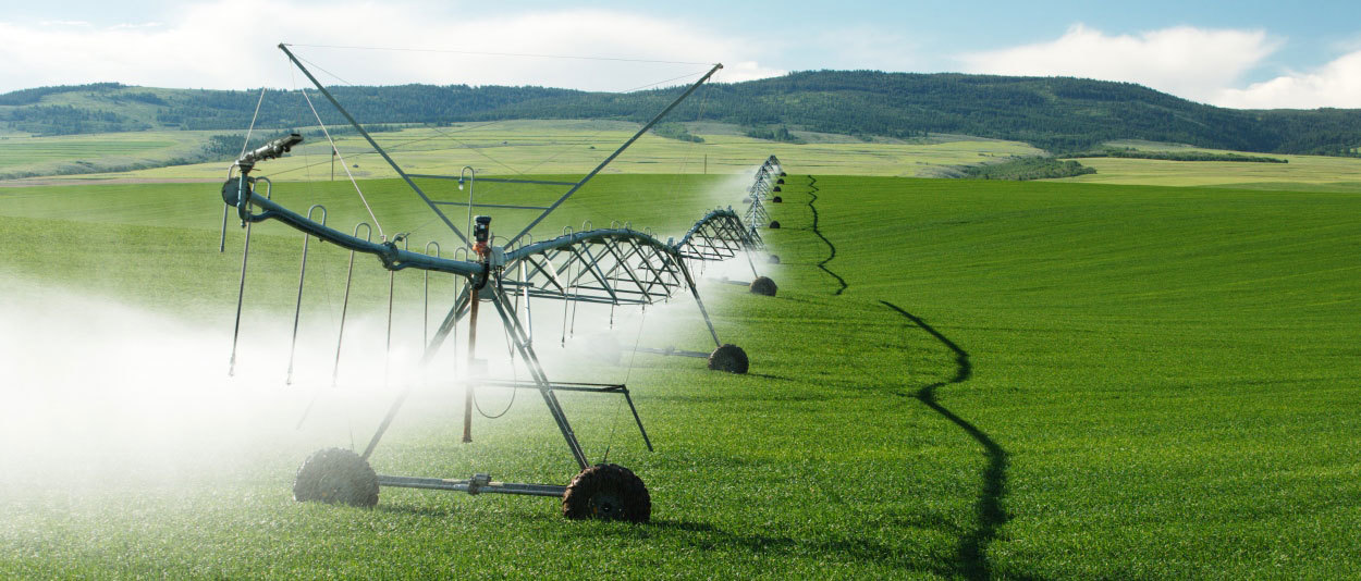 Water Rights Foster Garvey PC Law Firm Attorneys