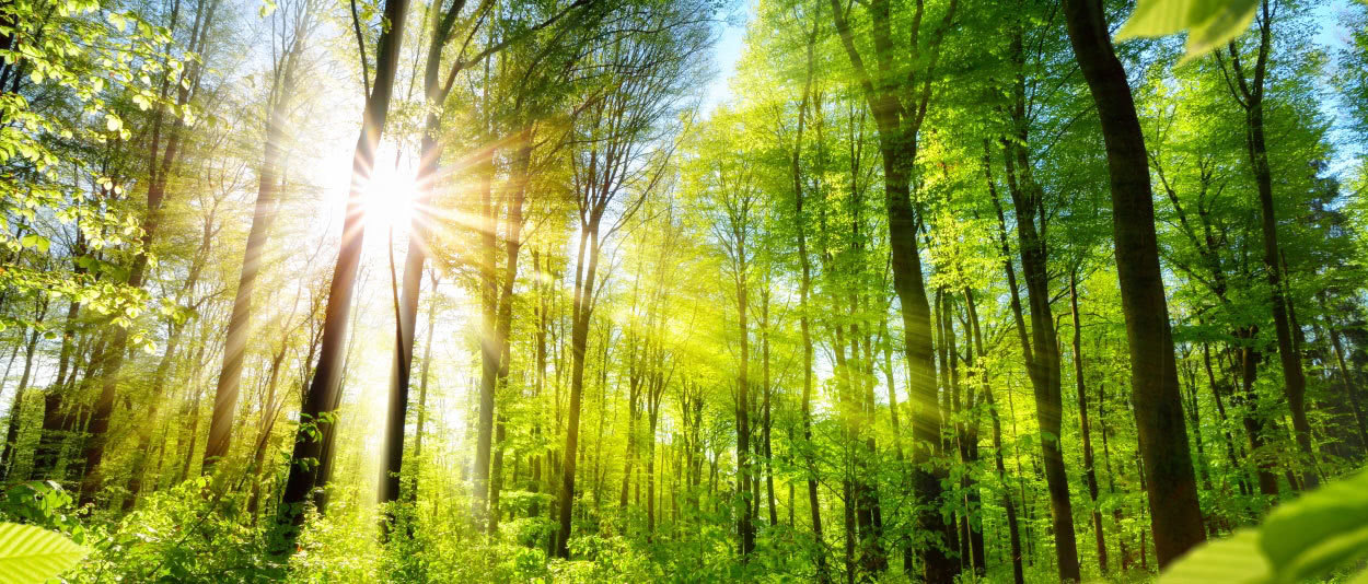 Photo of Environmental & Natural Resources